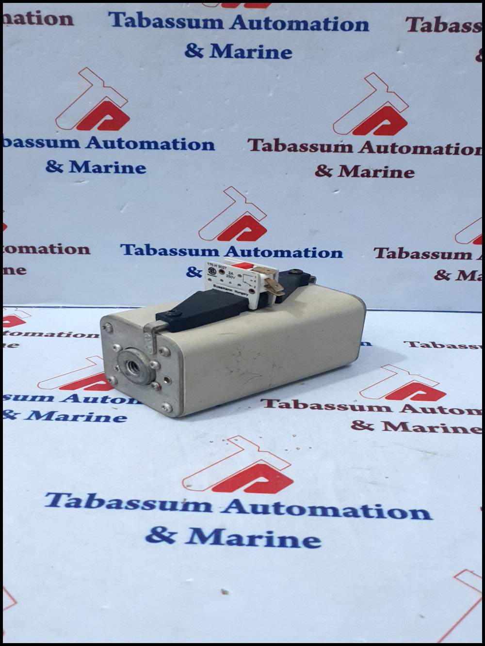 BUSSMANN 170M5992