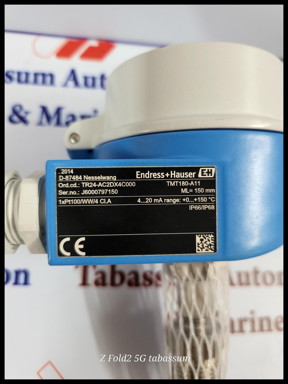 ENDRESS HAUSER D 87484 NESSELWANG